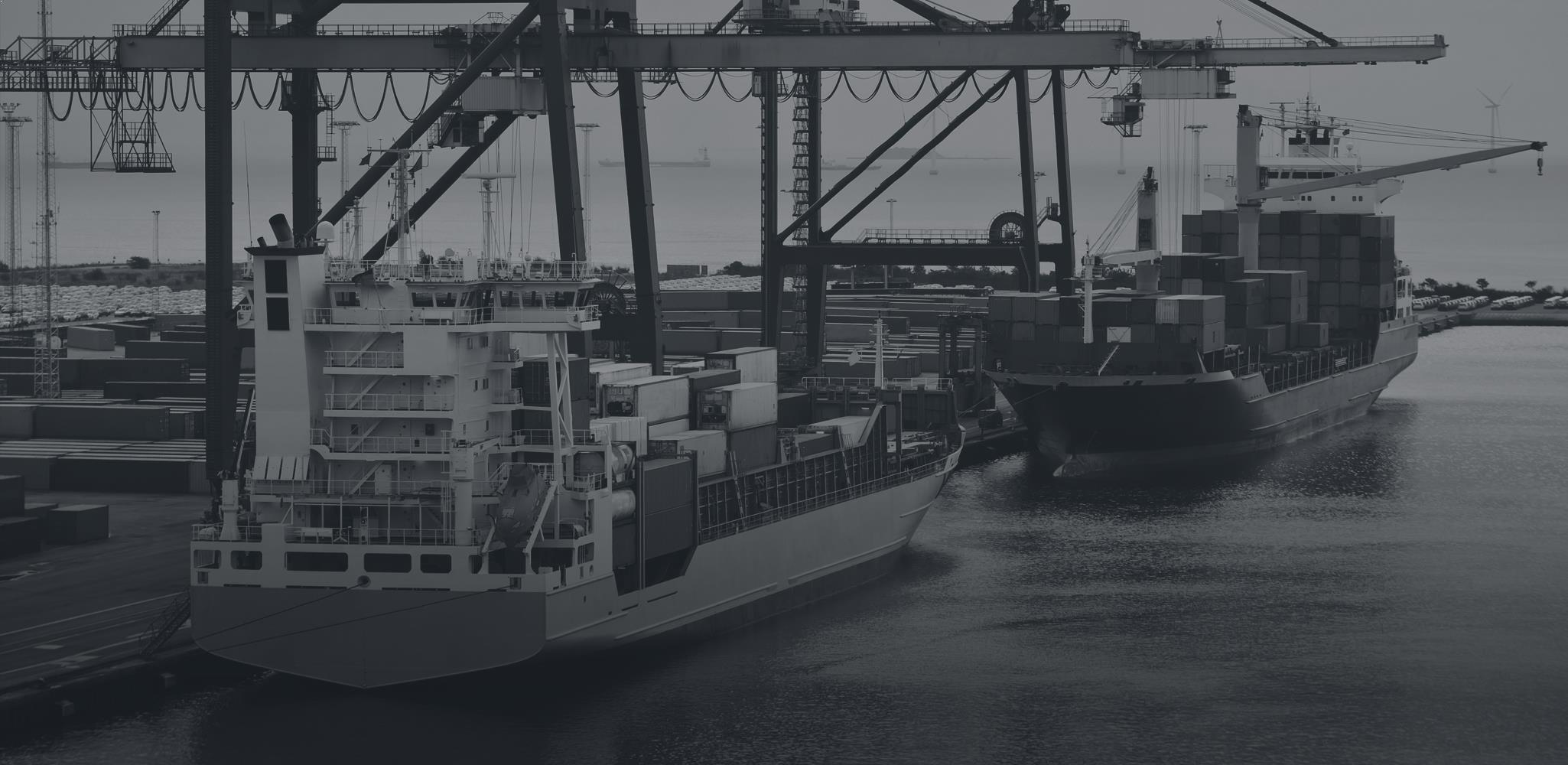 Global Logistics Experience